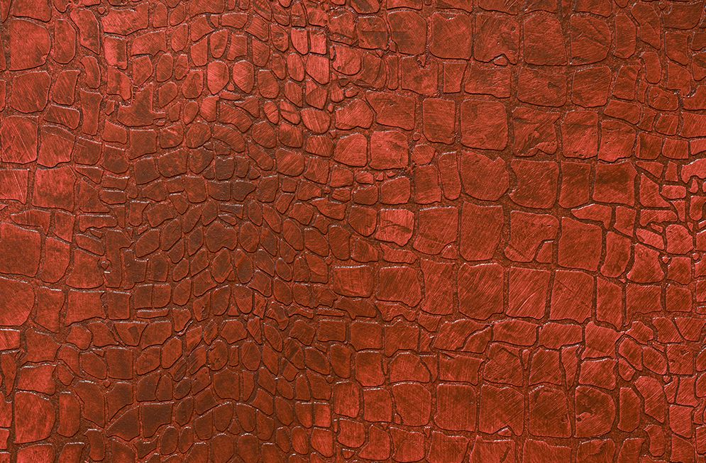 Krokodil­imitation: Räume werden lebendig - Exklusive Maler- und